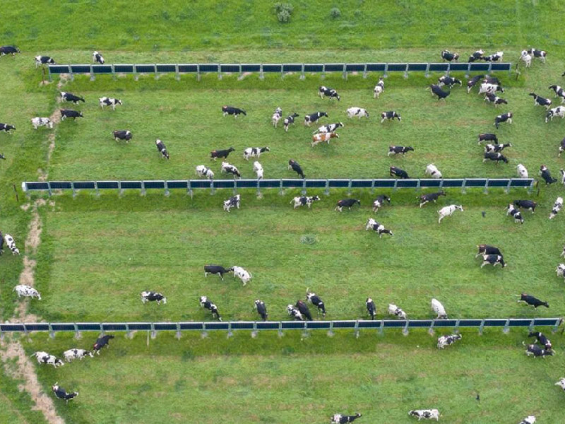 Vertical Structures Solar Farm racking system solar panel Fenceground mounting solar farms mount system in ground