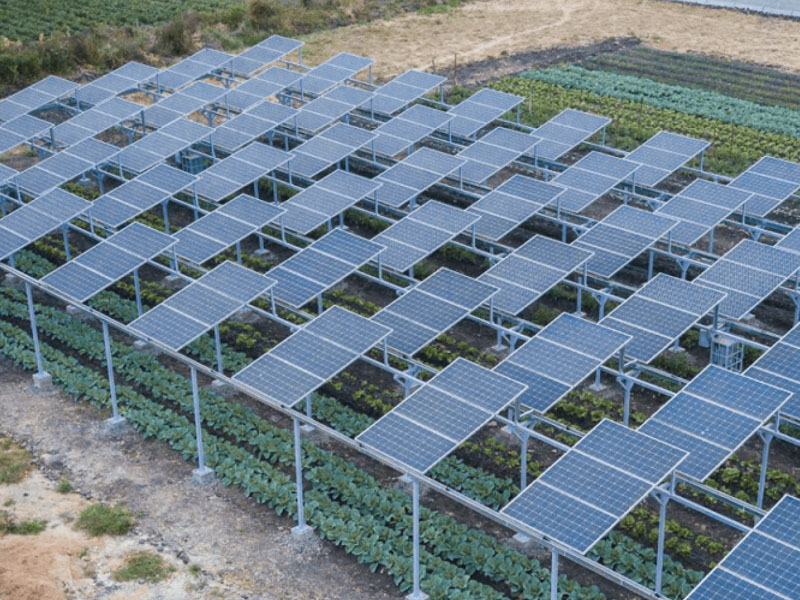 agricultural solar system project
