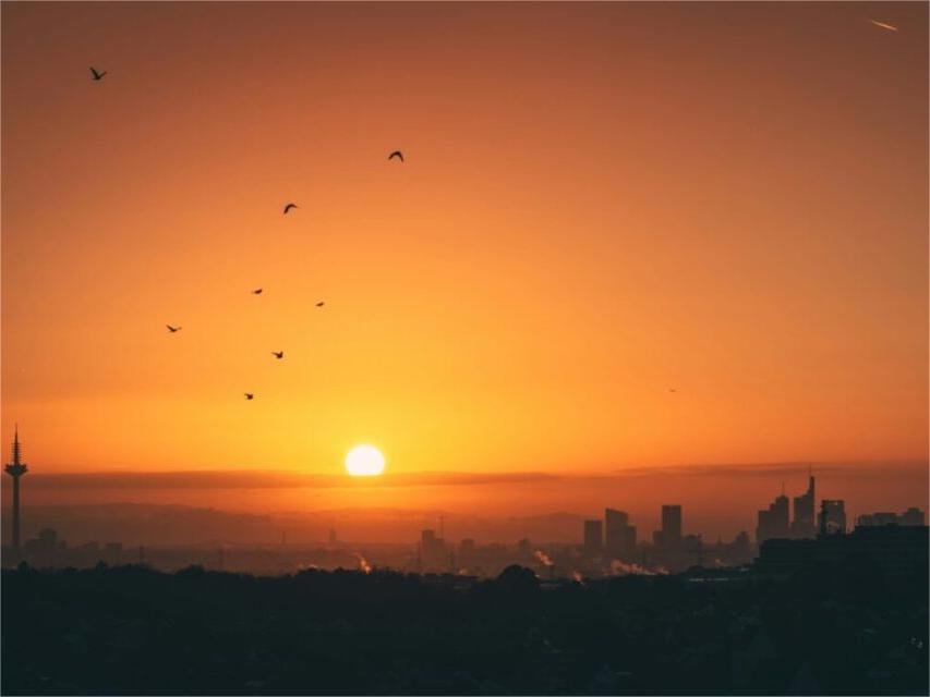 ألمانيا تضيف 7.1 جيجاوات من الطاقة الشمسية الجديدة في النصف الأول من عام 2025